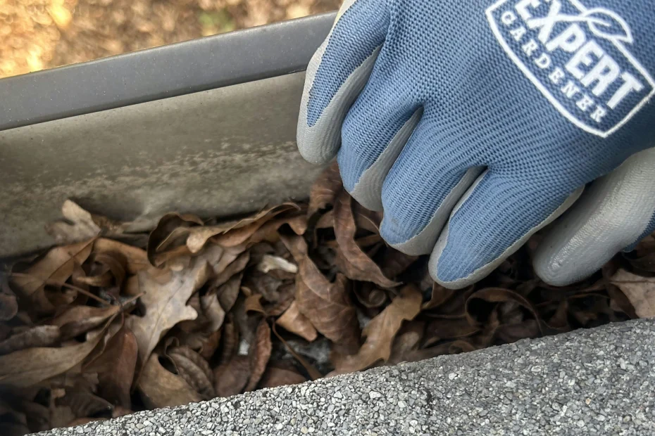 Gutter Cleaning Berwyn