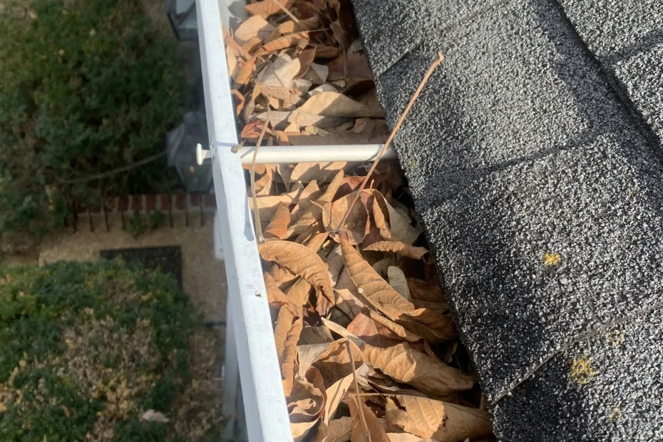 Gutter Cleaning Berwyn