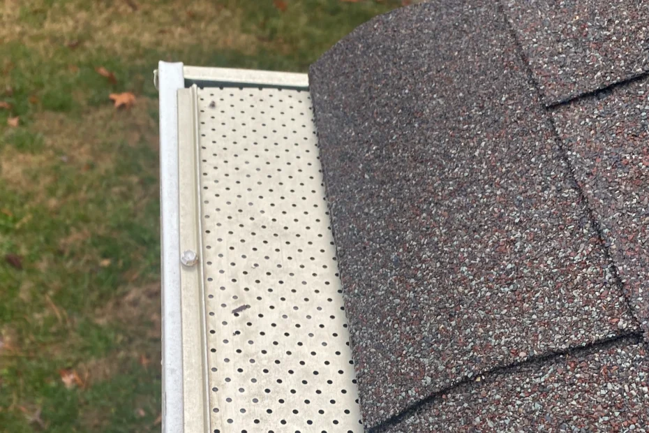 Gutter Cleaning Berwyn