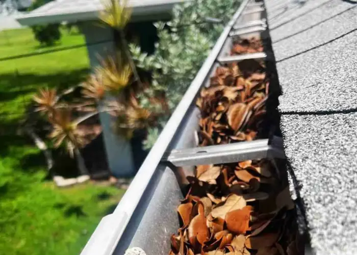 Gutter Cleaning Berwyn home page